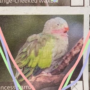 Meet your Posher, Steph